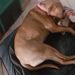 Meet your Posher, Sandra